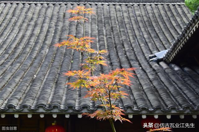 導(dǎo)讀：農(nóng)村蓋房用樹(shù)脂瓦適合嗎？聽(tīng)完行家的分析，恍然大悟