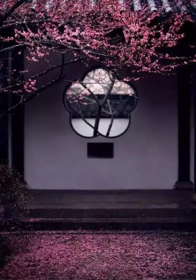 這樣的院子，只有中國人駕馭得了它！